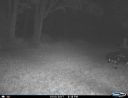 Filename=I__01478.JPG
Filesize=138KiB
Dimensions=640x493
Date added=Oct 29, 2017 I__01478.JPG